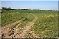 Farmland near Aslackby