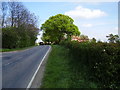 The road passing Fulbeck Grange