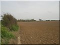 Crabbe Castle Farm from near B1105