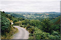 Road towards Llandinam from the south-east