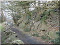 The railway cutting outside Stabla viewed from the footpath