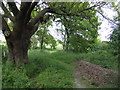 Footpath onto Chestfield Golf Course.