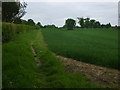 Footpath to Lambourne End