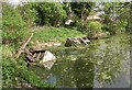 Former Mill Dam - off Lowtown