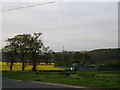 Looking towards Chilton Lane Sewage treatment works