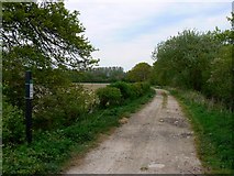 SU0673 : Yatesbury Lane, near Yatesbury by Brian Robert Marshall