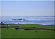 NS2142 : Horse Island, Firth of Clyde by wfmillar