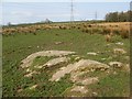 Exposed rock, Branteth