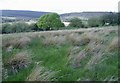 Moorland, south of Penygraig