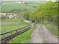 Farm track, near Rhiwinder