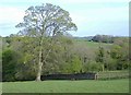 Woods and farmland, at Castellau