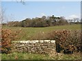 Bridge over the Redstones Burn