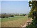 Southenay Farm from Southenay Lane