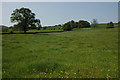 SO7669 : Fields near Claybrook Farm, Abberley by Philip Halling