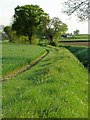 Footpath and (nearly dry) brook