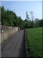 Darley Slade, prehistoric trackway, looking South