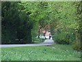 Path through Darley Park towards Tea Rooms