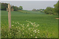 Footpath to Stourport on Severn