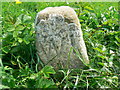 SU0994 : Hay lot marker stone, North Meadow NNR, Cricklade by Brian Robert Marshall