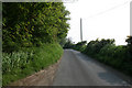 Road and woodland near Lenacre Hall Farm