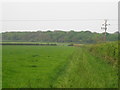 Bridleway near Grendon Underwood