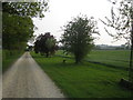 Driveway, Prune Farm near Edgcott