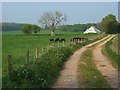 Farmland, Ludgershall