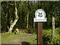 Footpath through Buckden Woods (west)