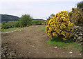 Livestock field