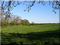 Pasture land alongside Little Stainton Beck