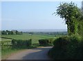 Bend in the Road, Common-y-coed