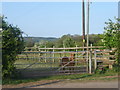 Footpath, fences, and friend