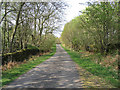 A country road at Holmhead