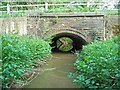 bridge over brook