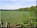 Spring farmland