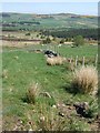 View NNE from near Bogmore