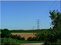 SU6230 : Farmland with pylons, near Ropley Dean, Hants by Brian Robert Marshall