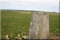 Trig point at Penmoelhedog