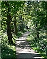 Path through Highway Spinney