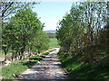 Road from Mid Clune to Mill of Clinter