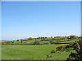 View east across the fields