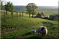 Sleddale Farm From the East