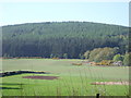 View towards Myrie Hill from B977