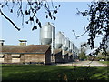 Corner of a poultry farm