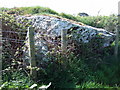 Capstone of Trewalter burial chamber