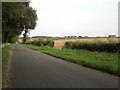 View along south eastern boundary wall of Holkham Park