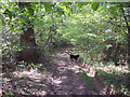 Byway near Frenchmoor