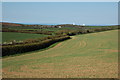 Farmland near Elmworthy Farm