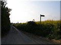 A footpath crosses Winehouse Lane