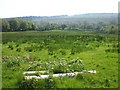 Drumcurren Townland